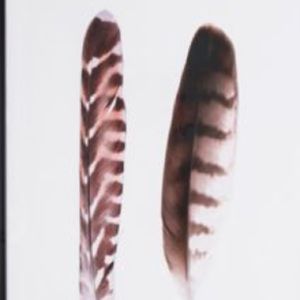 Meet your Posher, Danasia